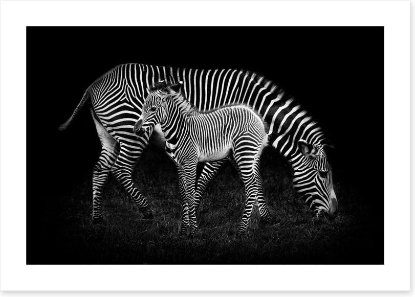 Earning your stripes