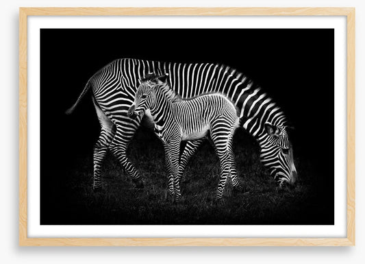Earning your stripes