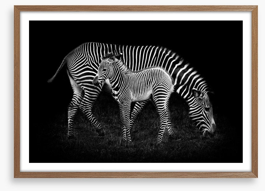 Earning your stripes