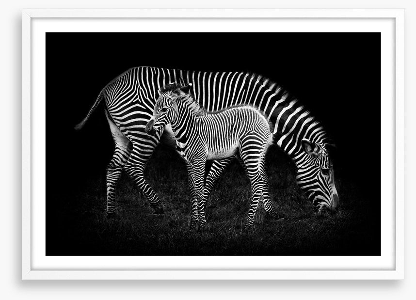 Earning your stripes