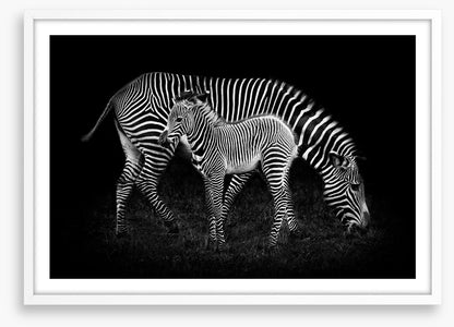 Earning your stripes