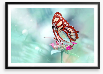 Insects