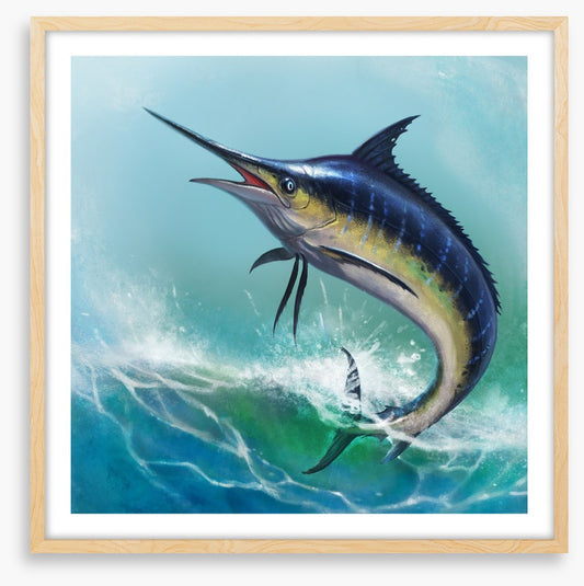 Blue marlin jump