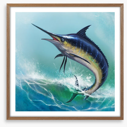 Blue marlin jump