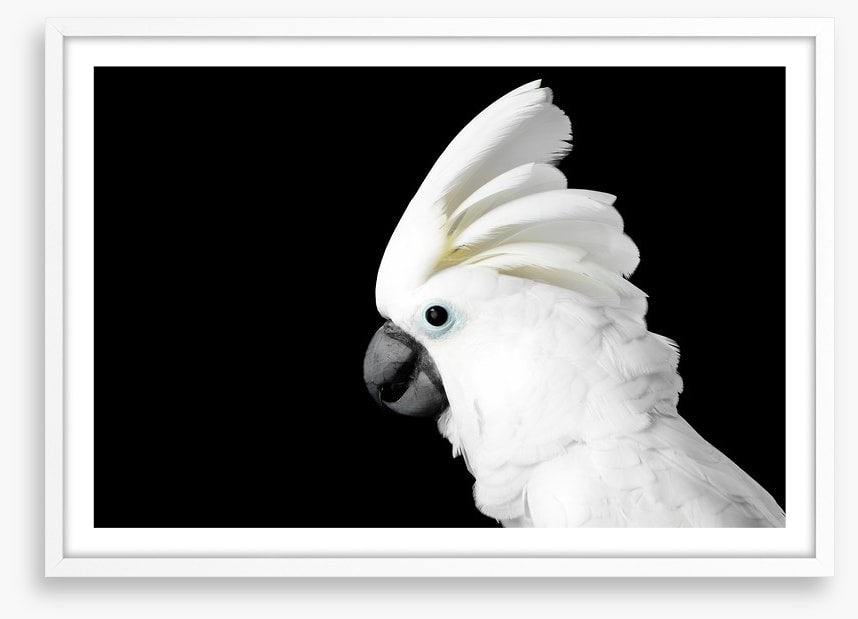 The Godfeather