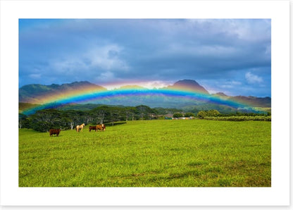 Rainbows
