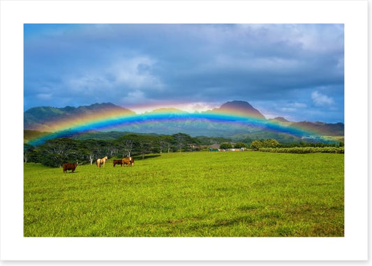 Rainbows
