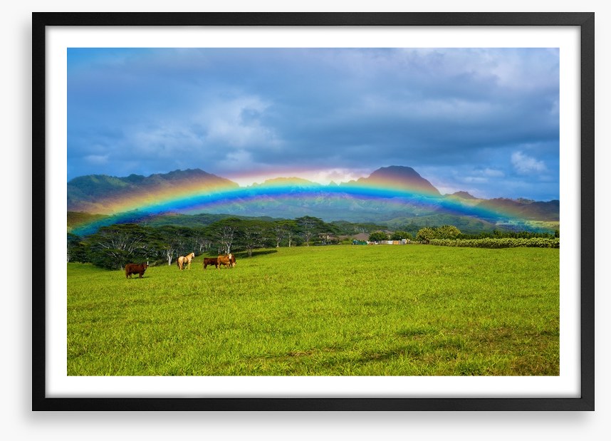 Rainbows