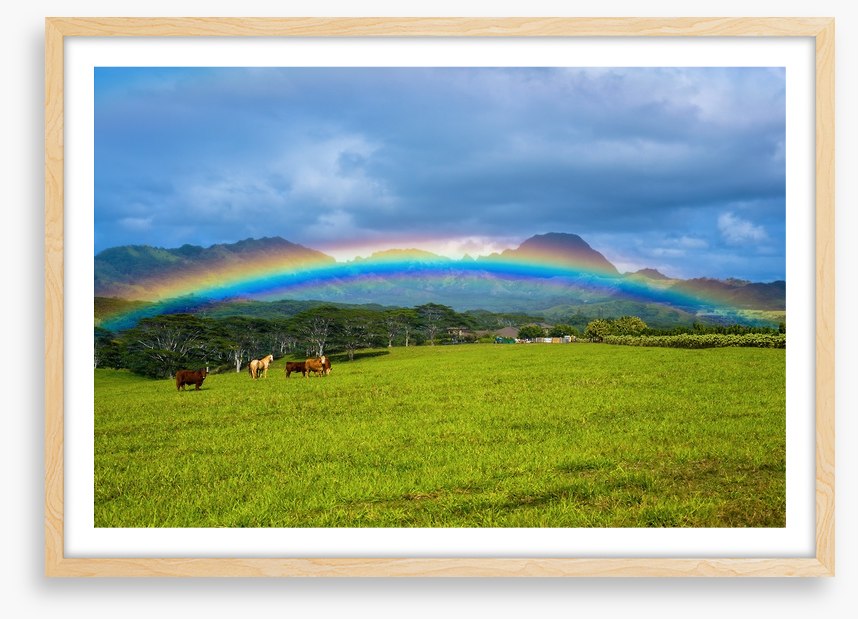 Rainbows