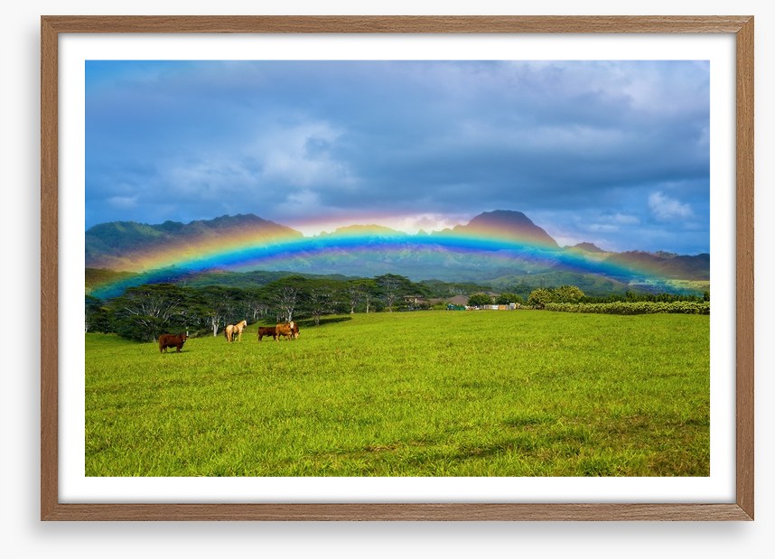 Rainbows