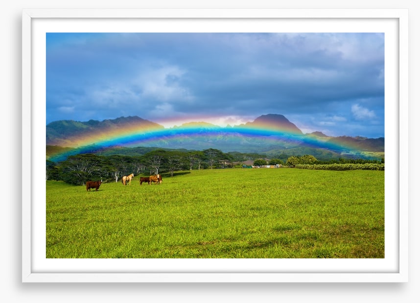 Rainbows