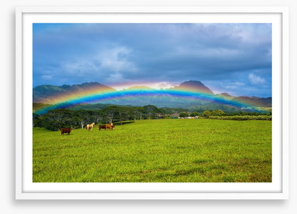 Rainbows