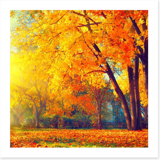 Those autumn days