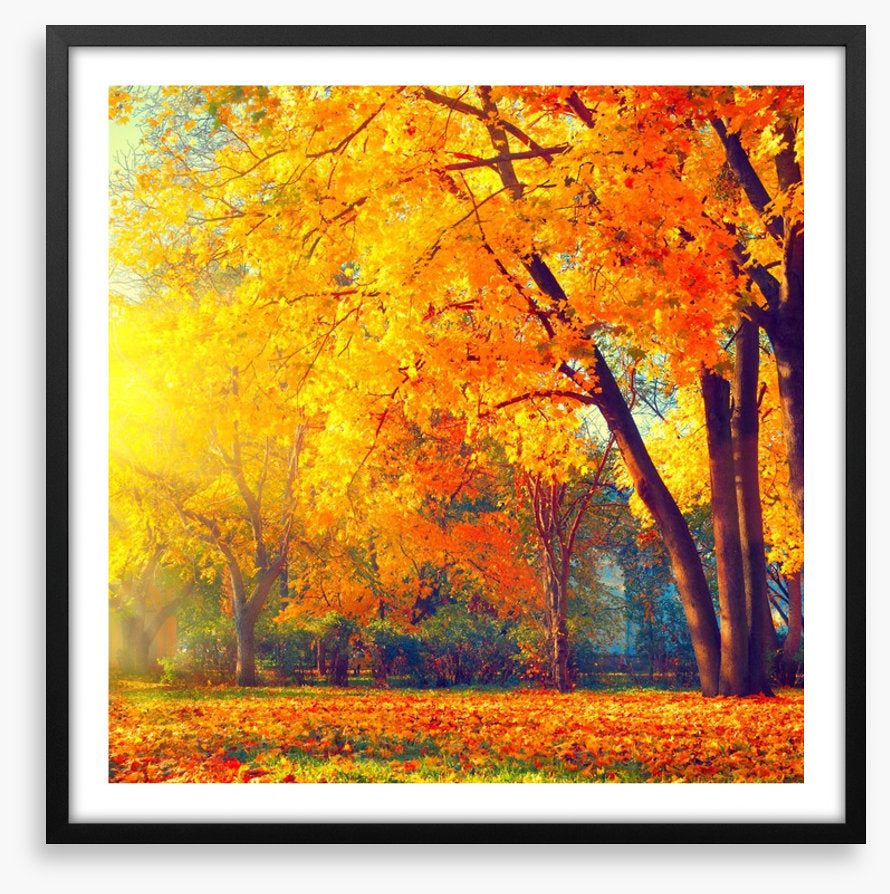 Those autumn days
