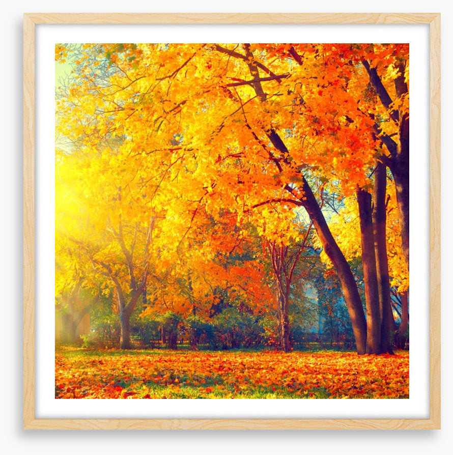 Those autumn days