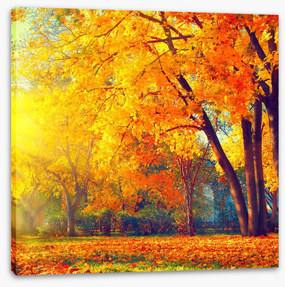 Those autumn days