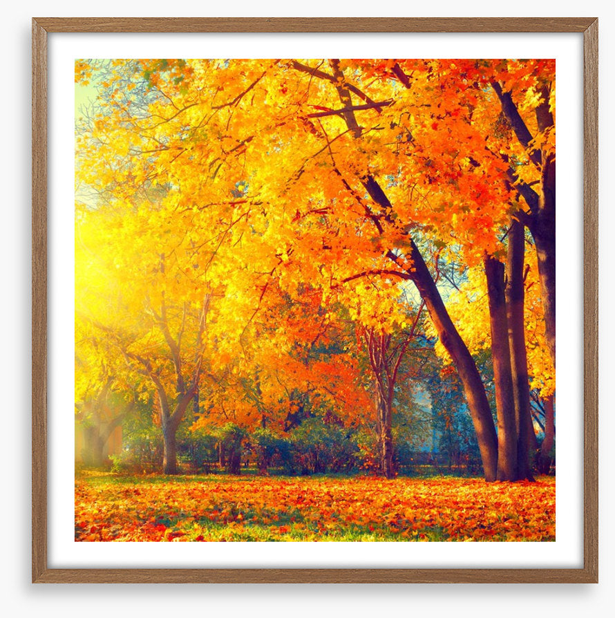 Those autumn days