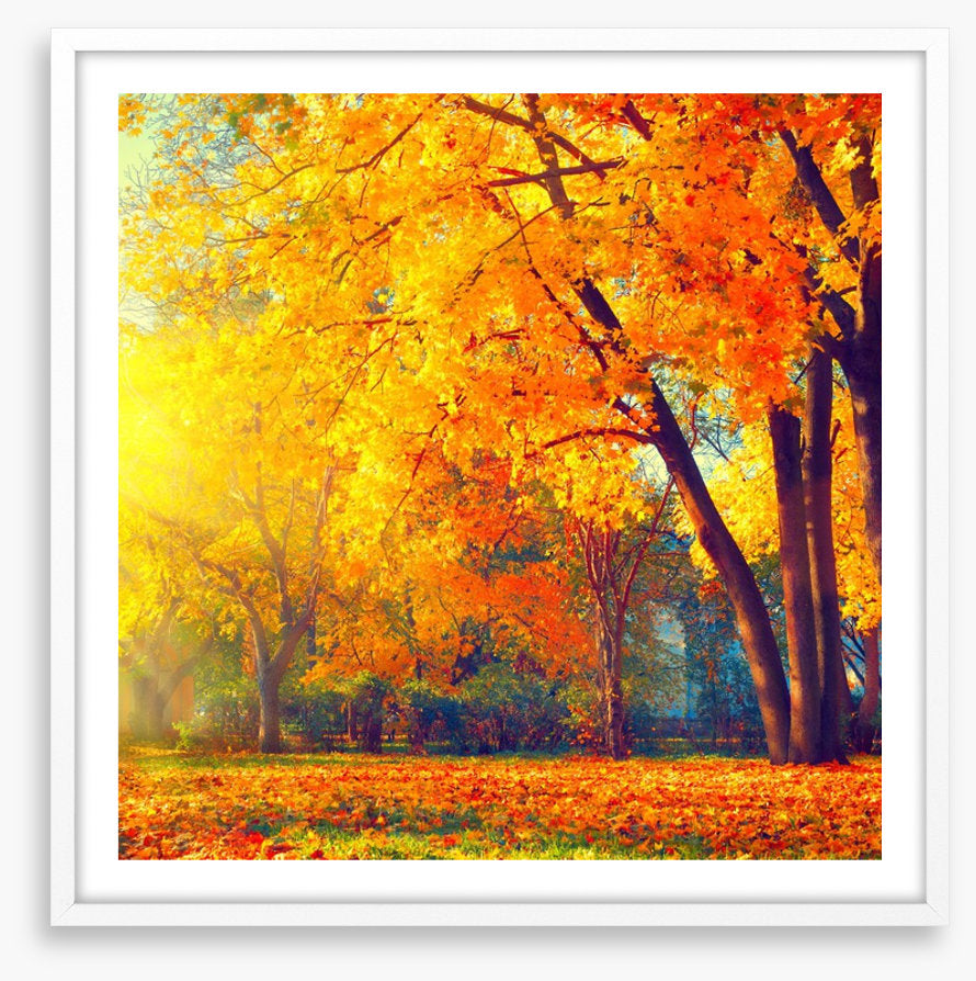 Those autumn days