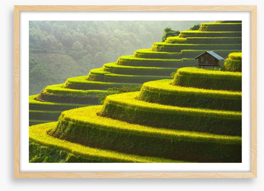 Mu Cang Chai rice terrace, Vietnam