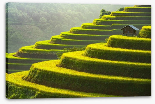 Mu Cang Chai rice terrace, Vietnam
