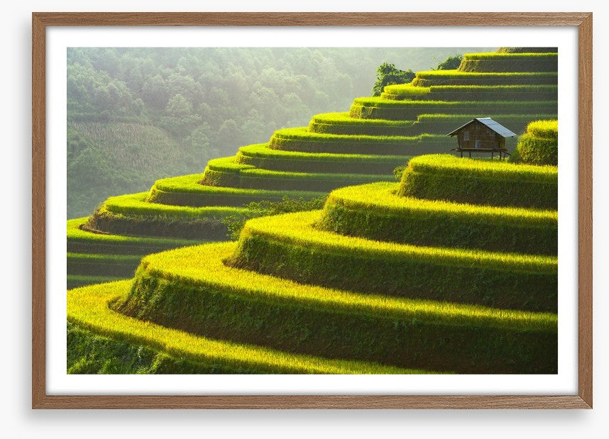 Mu Cang Chai rice terrace, Vietnam