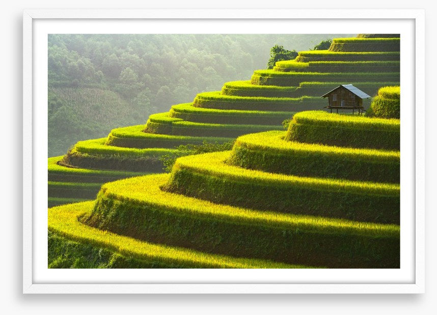 Mu Cang Chai rice terrace, Vietnam