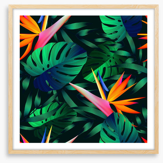 Blooming birds