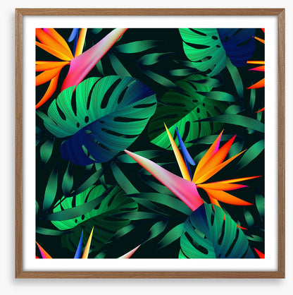 Blooming birds
