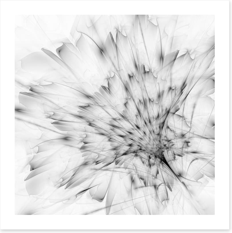 Monochrome bloom