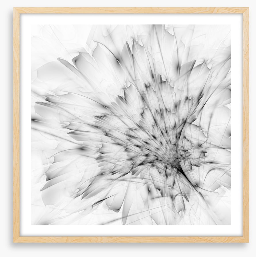 Monochrome bloom