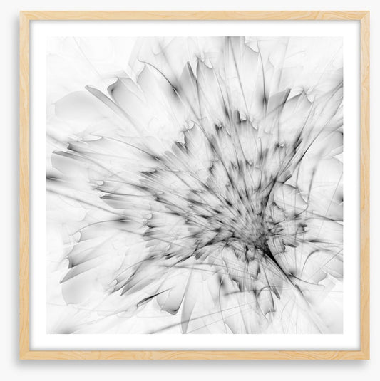 Monochrome bloom