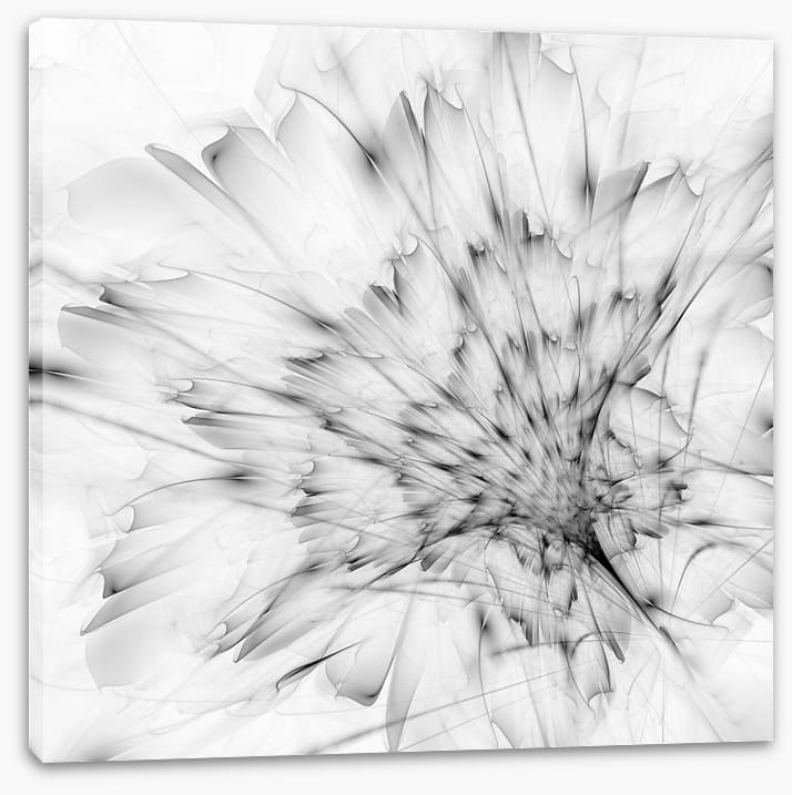 Monochrome bloom