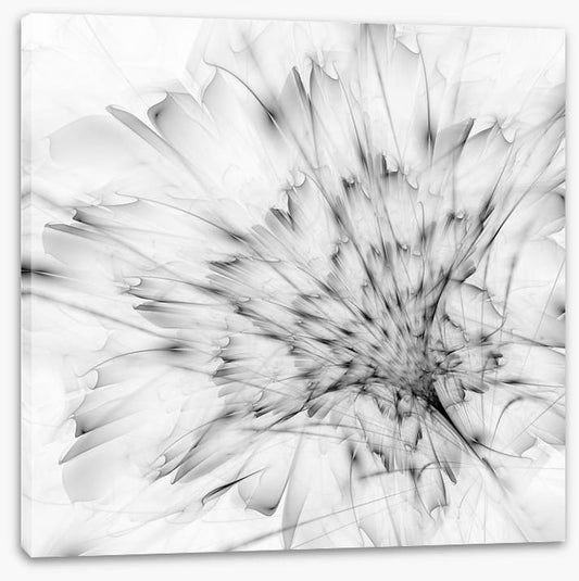 Monochrome bloom