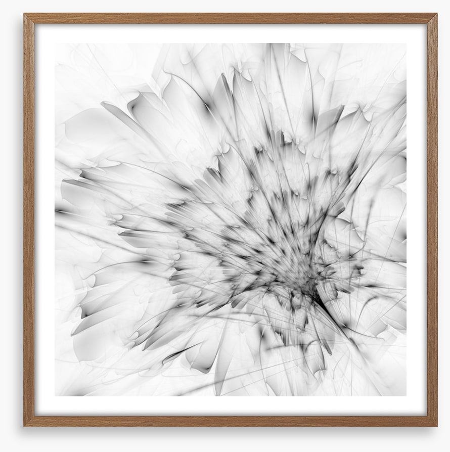 Monochrome bloom