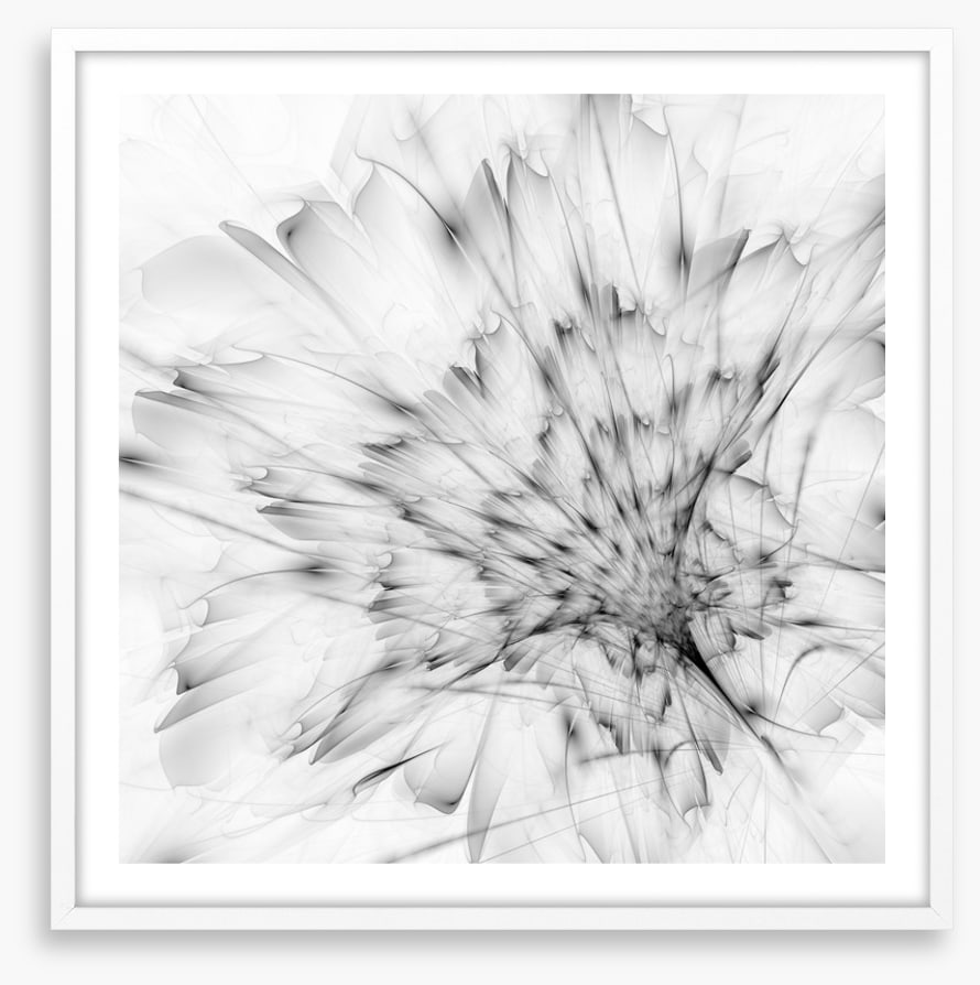 Monochrome bloom