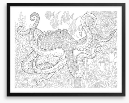 Colour me octopus