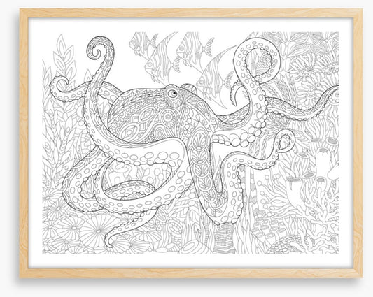 Colour me octopus