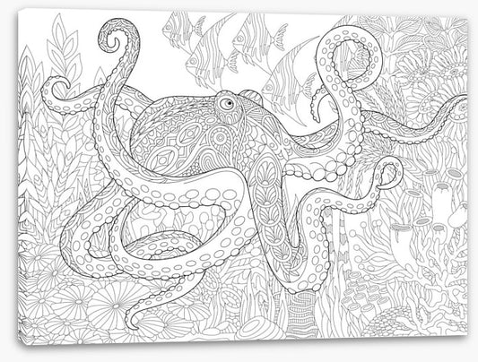 Colour me octopus