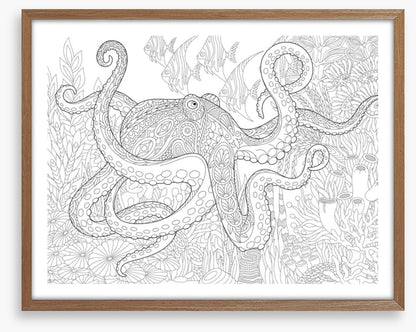 Colour me octopus