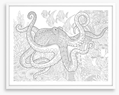Colour me octopus