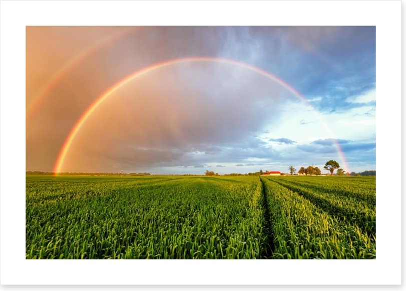 Rainbows