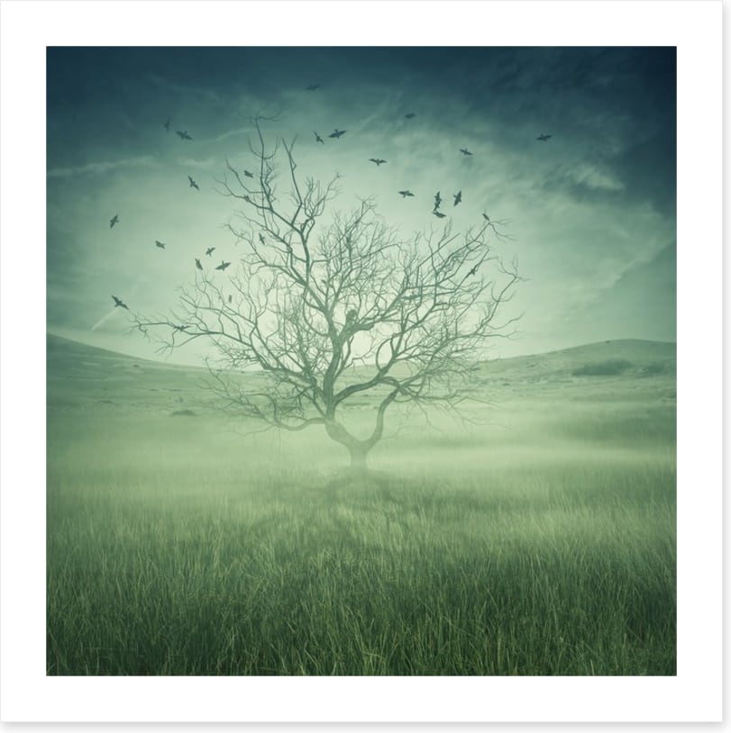 Alone with the birds