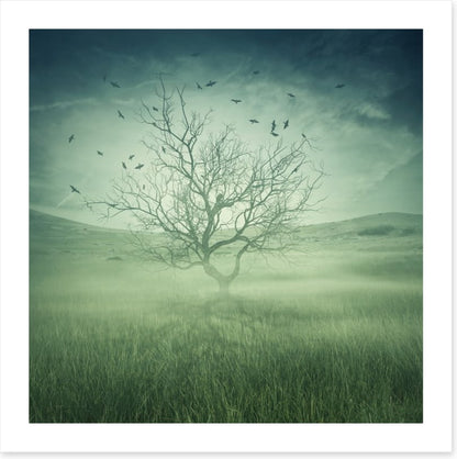 Alone with the birds