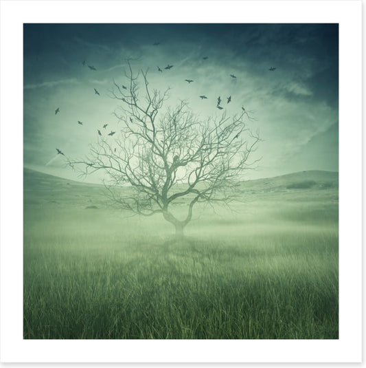 Alone with the birds