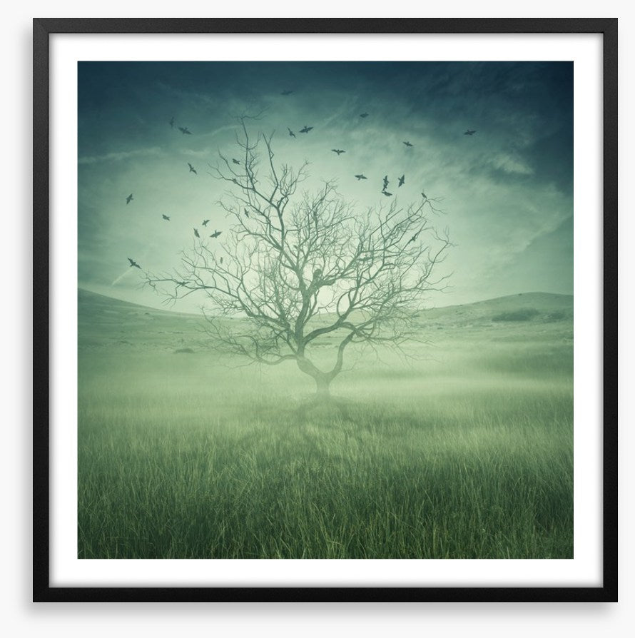 Alone with the birds