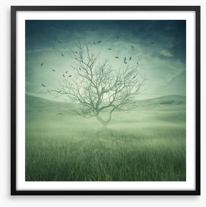 Alone with the birds