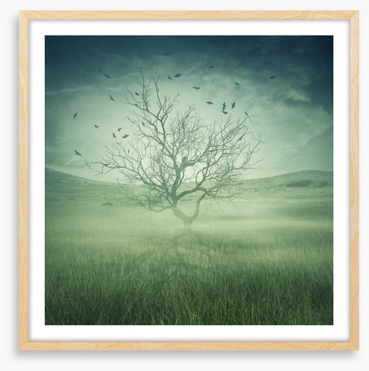 Alone with the birds