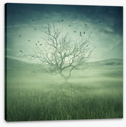 Alone with the birds