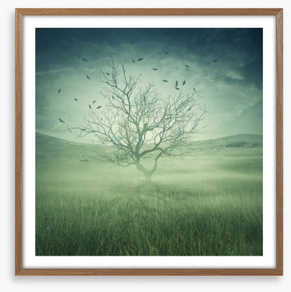 Alone with the birds