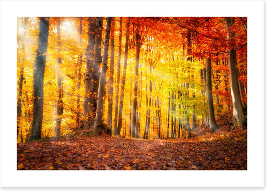Seasonal gold